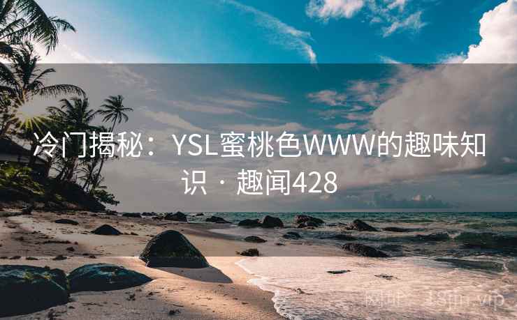 冷门揭秘：YSL蜜桃色WWW的趣味知识 · 趣闻428