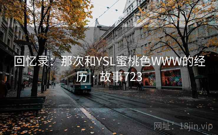 回忆录:那次和YSL蜜桃色WWW的经历 · 故事723