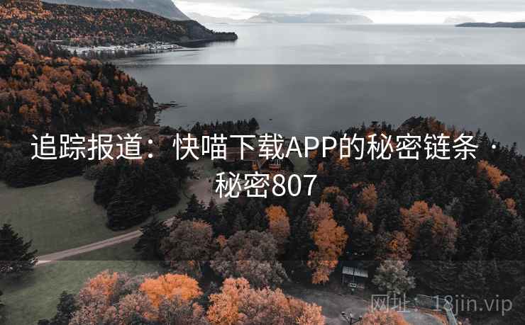 追踪报道:快喵下载APP的秘密链条 · 秘密807